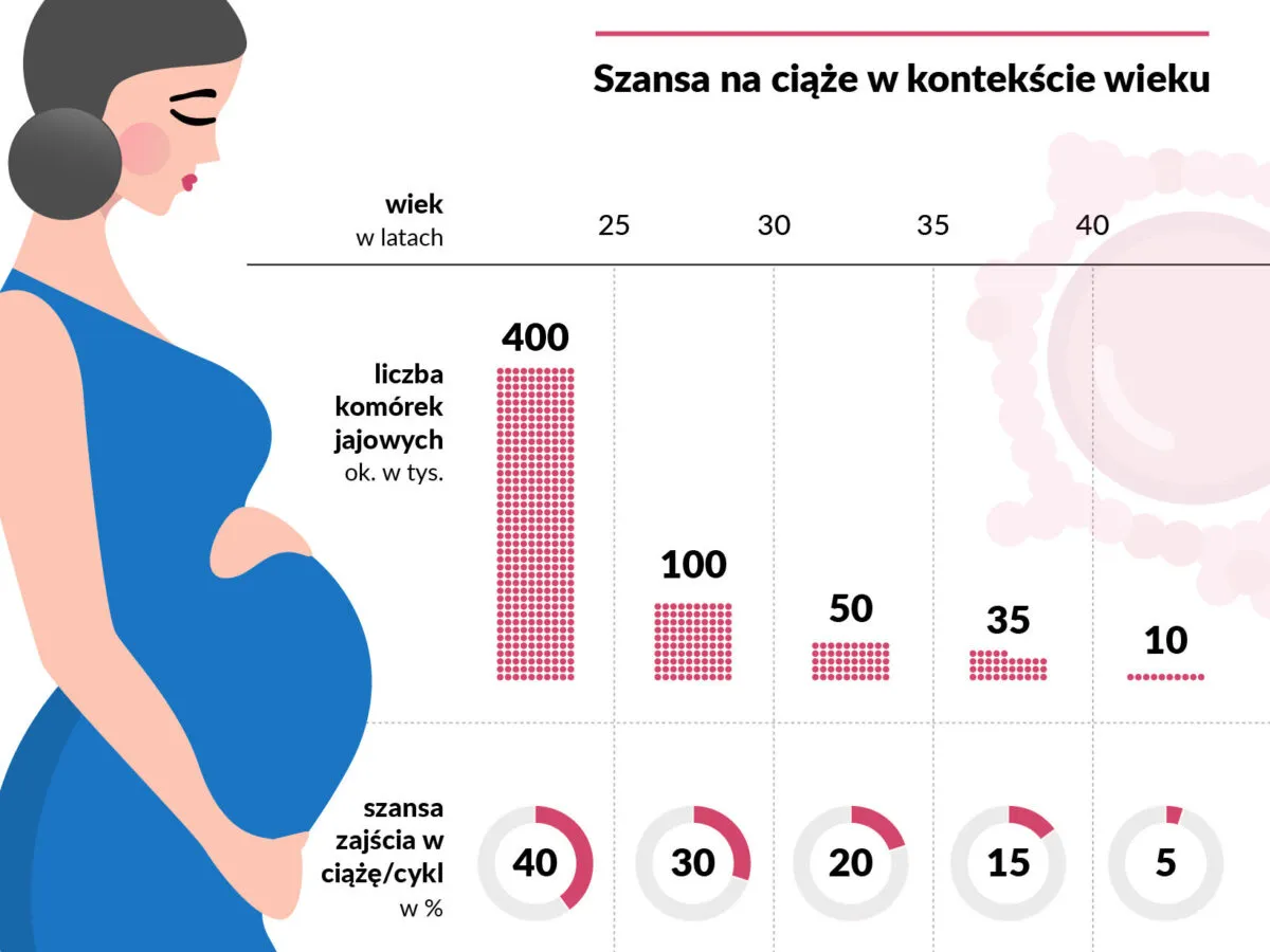 Badanie AMH co to jest? Wykres pokazuje spadek liczby kom&oacute;rek jajowych i szans na ciążę z wiekiem.