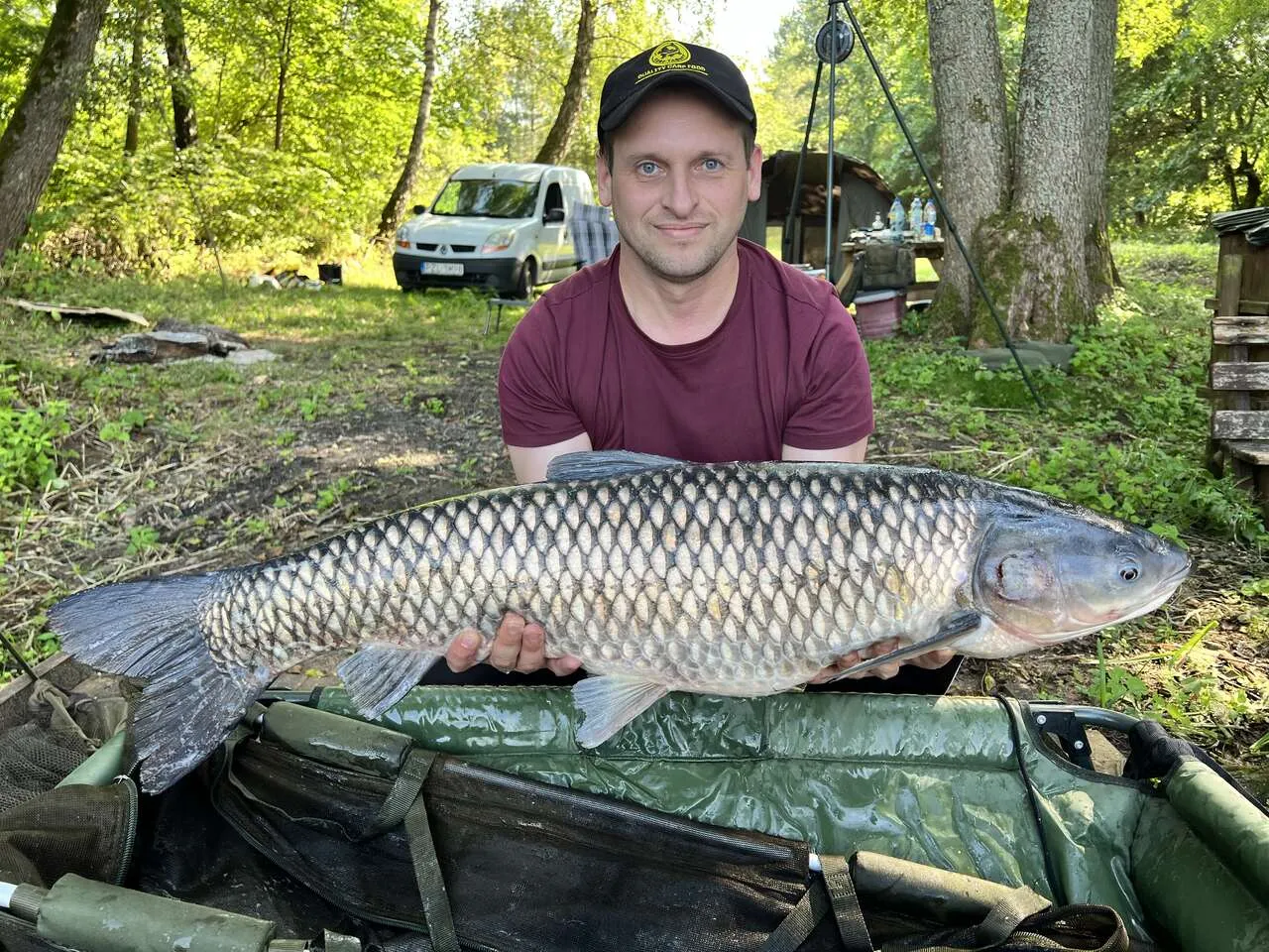 Karp i amur różnice w diecie