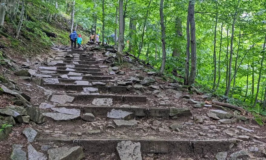 Tarnica szlak niebieski Wołosate