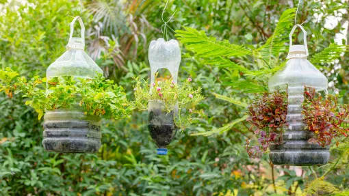 Zdjęcie Jak zrobić kwietnik z butelek plastikowych i stworzyć piękny ogród