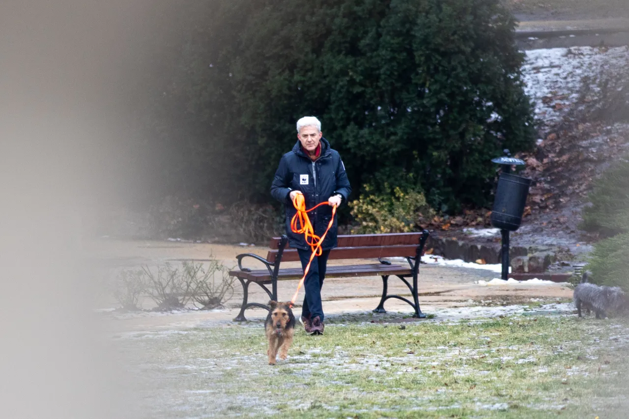 Mężczyzna z siwymi włosami i piesek na smyczy, jakby pies saneczkuje milionerzy, spacerują po parku zimową porą.