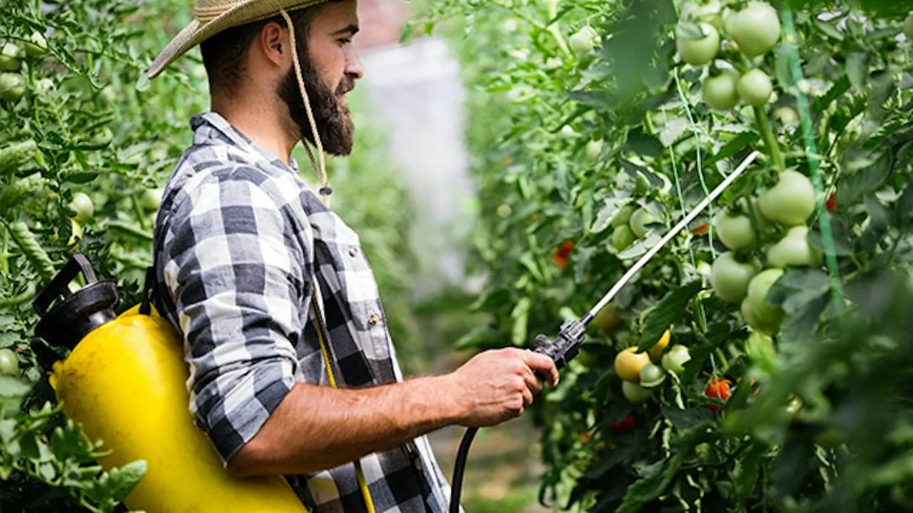 opryskiwacz do wysokich drzew