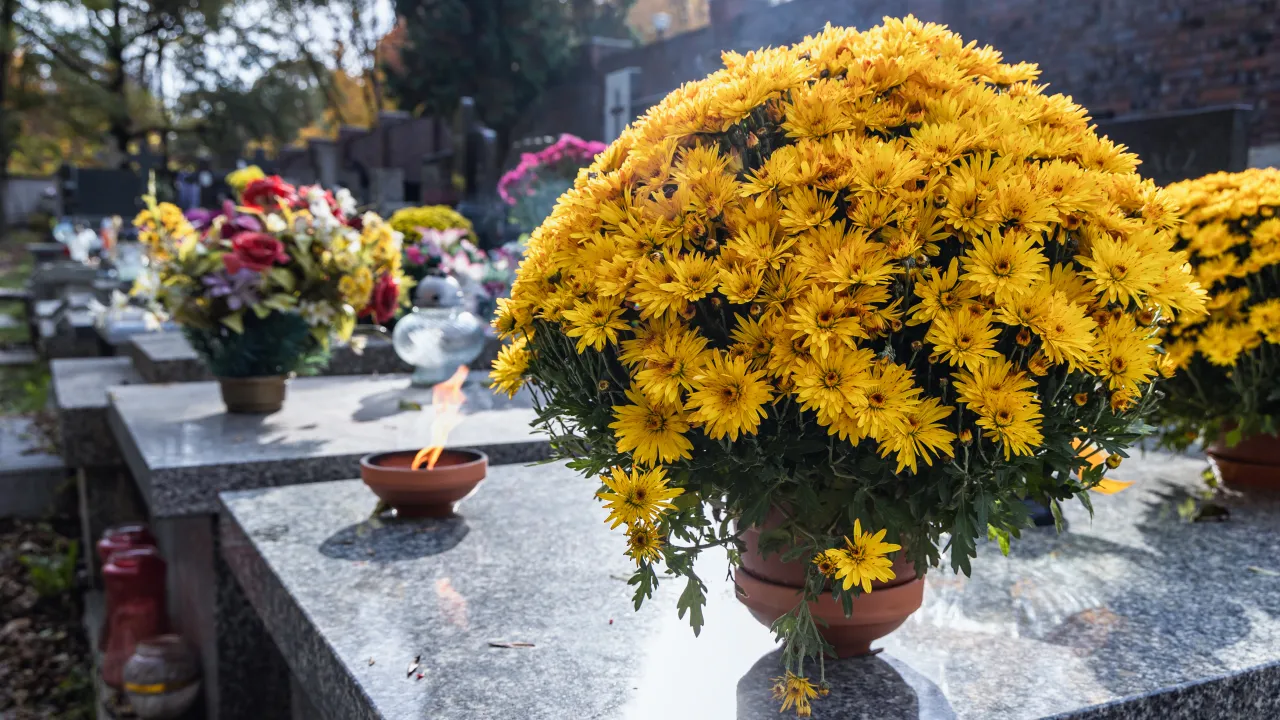 regulamin cmentarza komunalnego tablica informacyjna