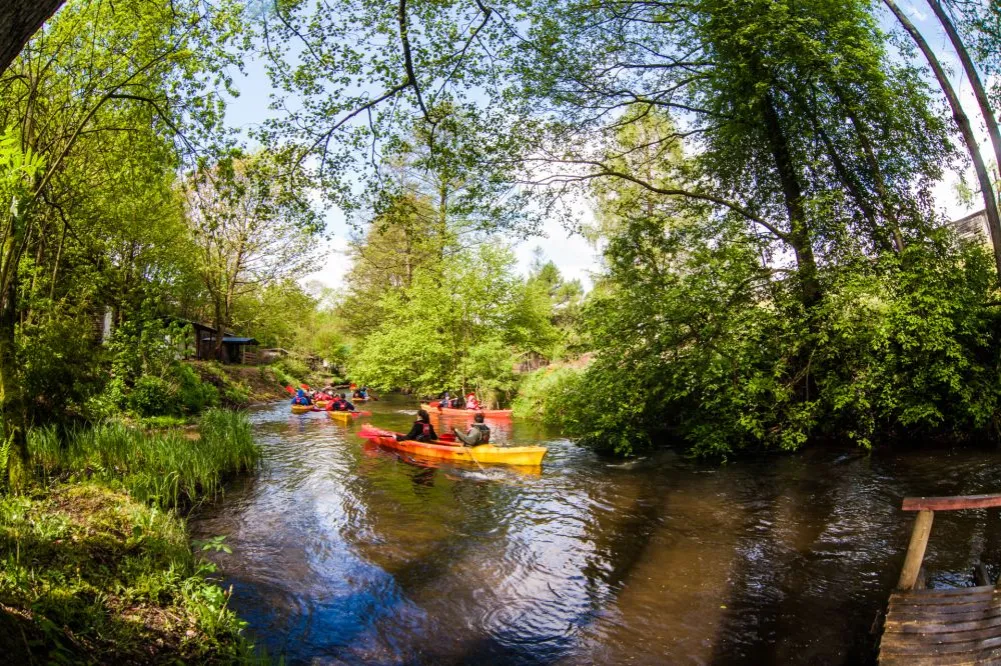 kajaki na rzece Zbrzyca bory tucholskie