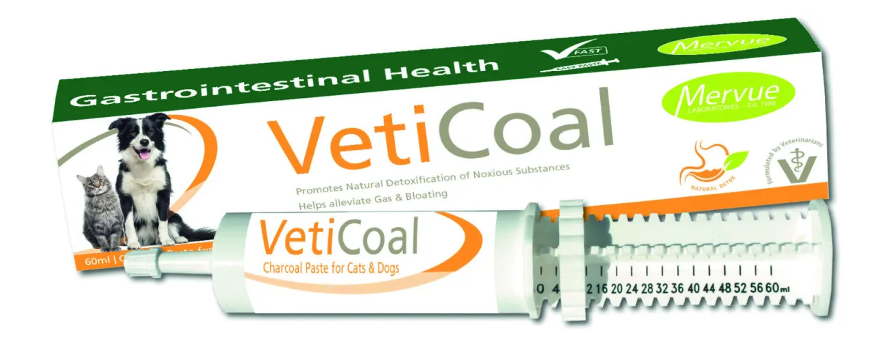 probiotyki dla psa, węgiel aktywowany dla psa