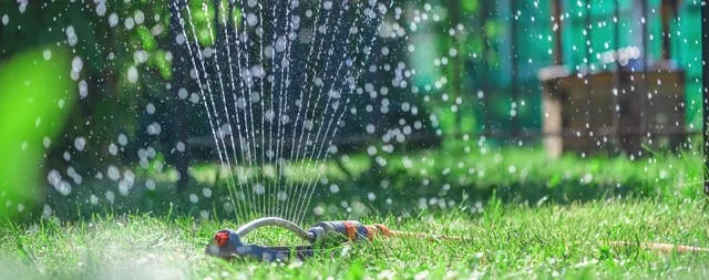 Zdjęcie Zraszacz pulsacyjny czy wahadłowy? Wybierz idealny do Twojego ogrodu