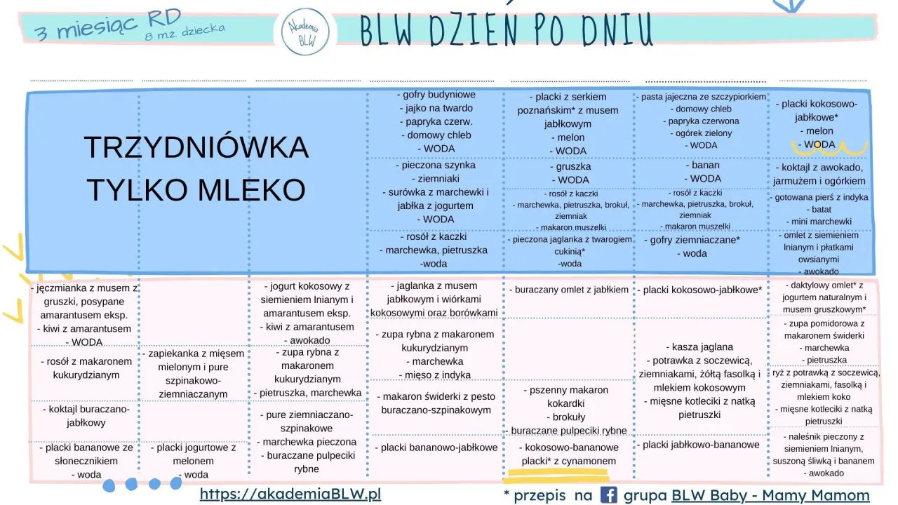 8 miesięczne dziecko rozszerzanie diety BLW