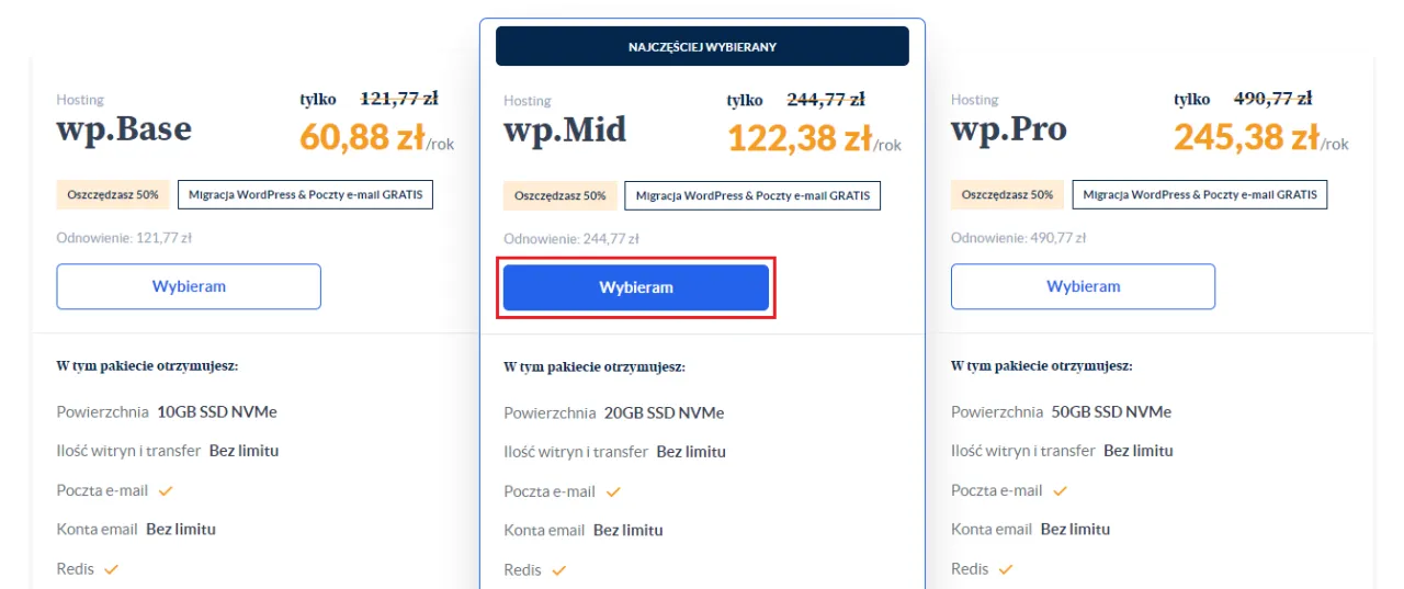 Wybór domeny i hostingu WordPress