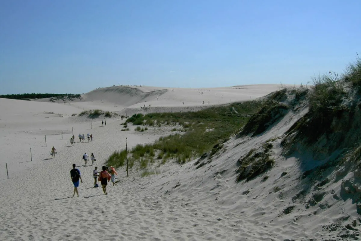 Ruchome wydmy Łeba Wydma Łącka