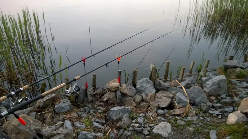 łowisko feederowe rzeka jezioro
