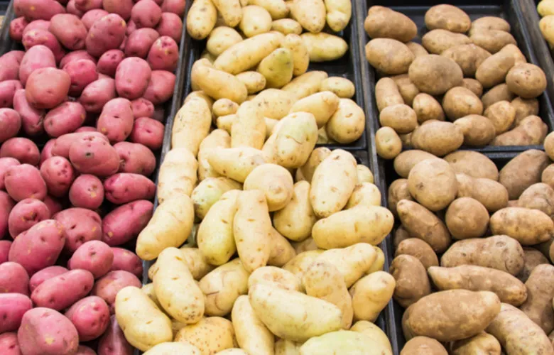 Rodzaje ziemniak&oacute;w do frytek typu C Irys Bryza