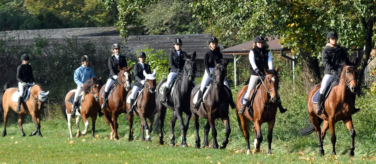 Ośrodek jeździecki Śląsk