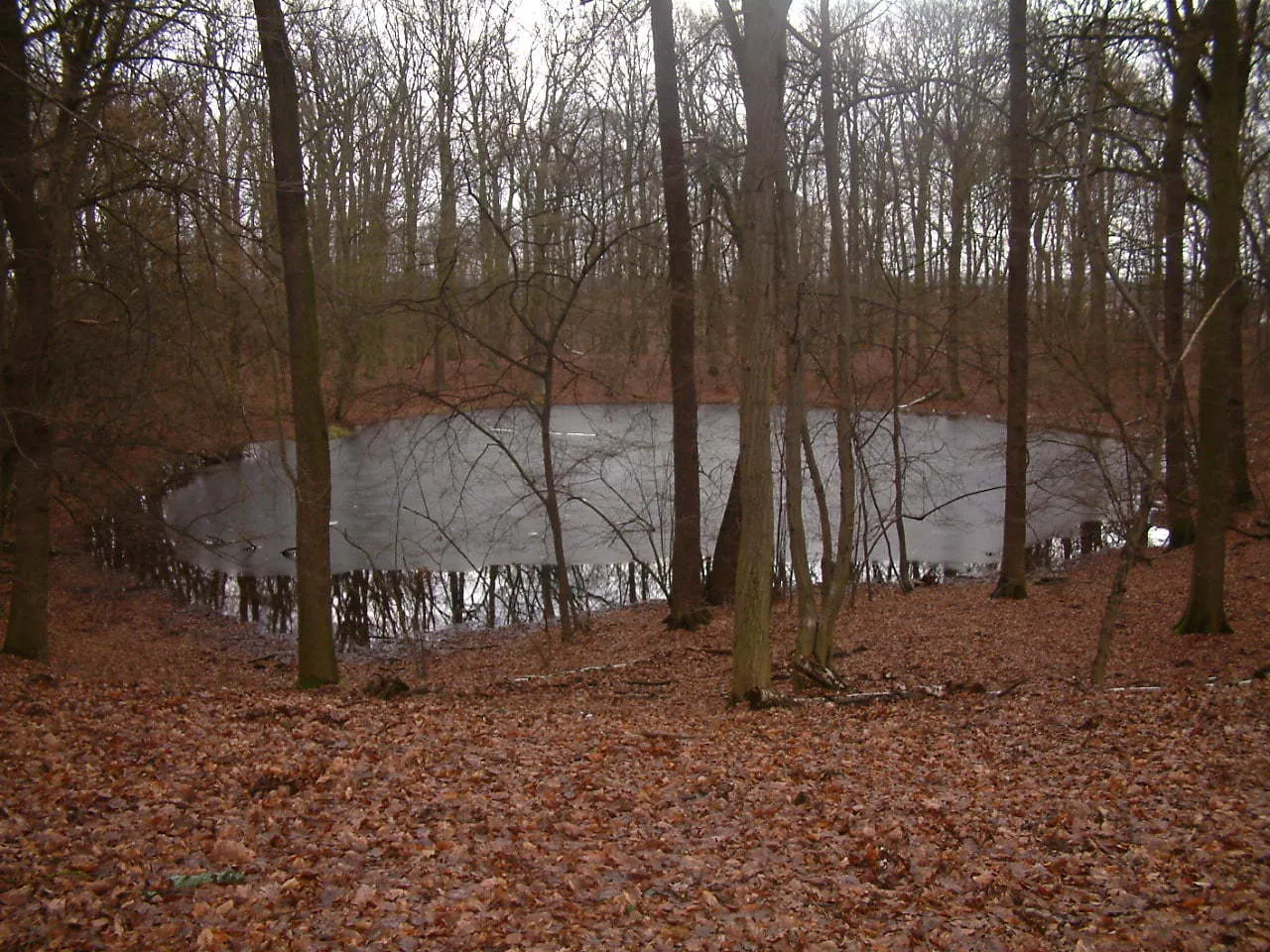 Rezerwat Meteoryt Morasko widok ogólny lub fragment meteorytu