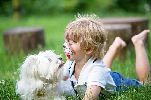 dziecko z pomalowaną twarzą jako pies