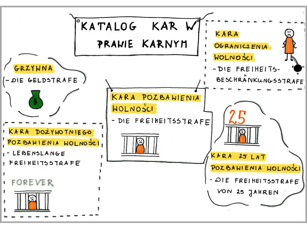 rodzaje kar kodeks wykroczeń infografika