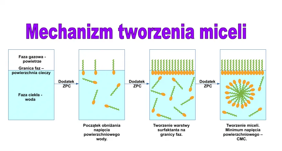 budowa cząsteczki surfaktantu micele
