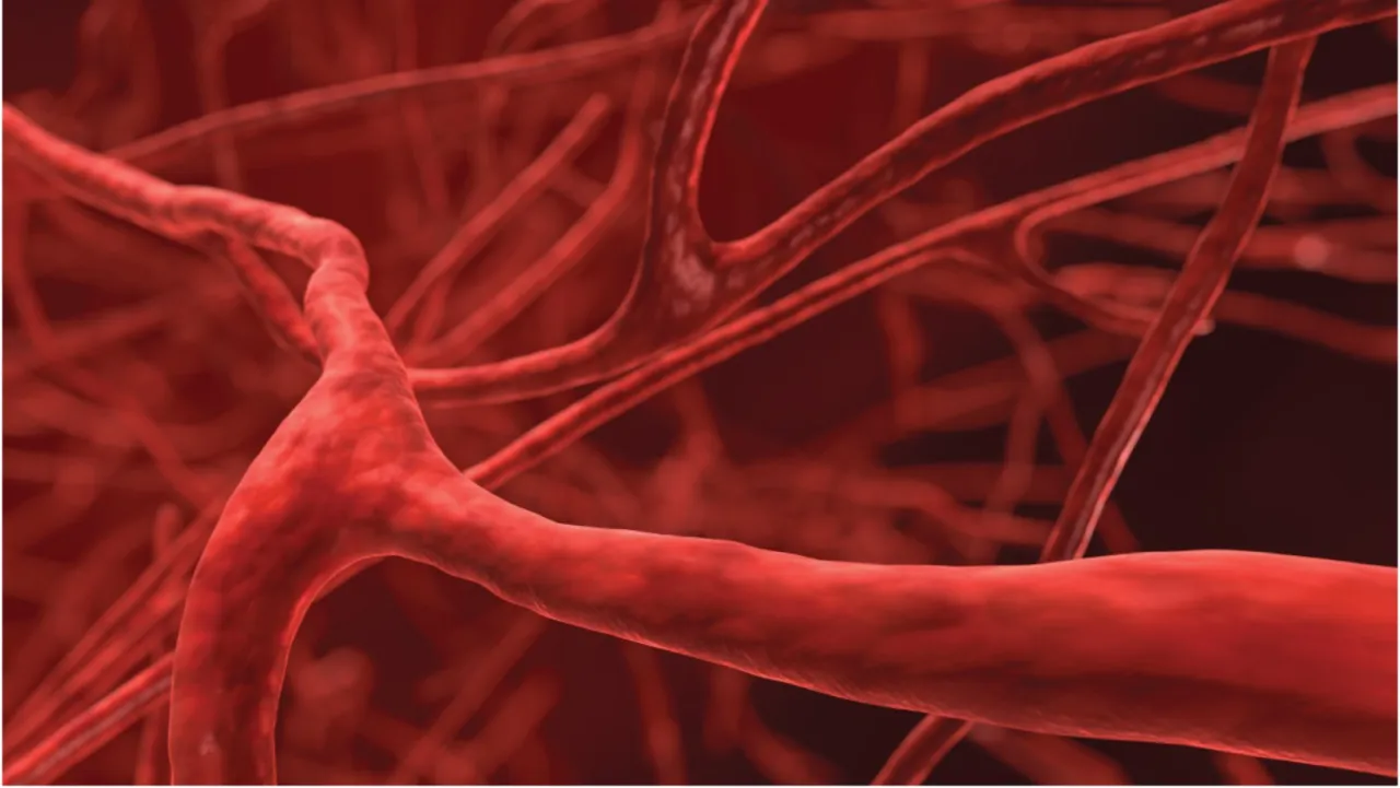 Nadciśnienie tętnicze wpływ na naczynia krwionośne