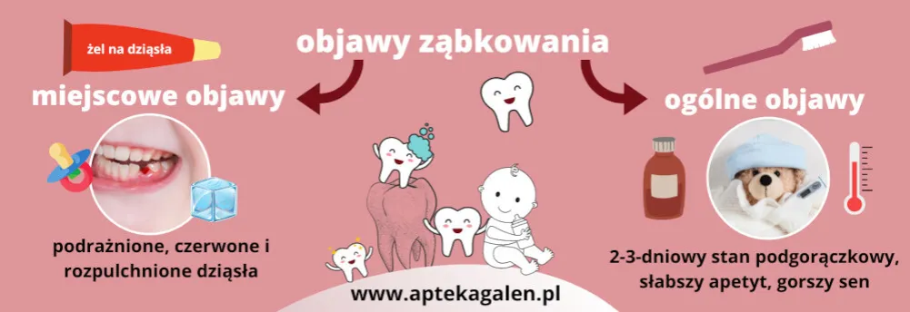 Zdjęcie Jak wyglądają wychodzące zęby u niemowlaka? Objawy, na które warto zwrócić uwagę