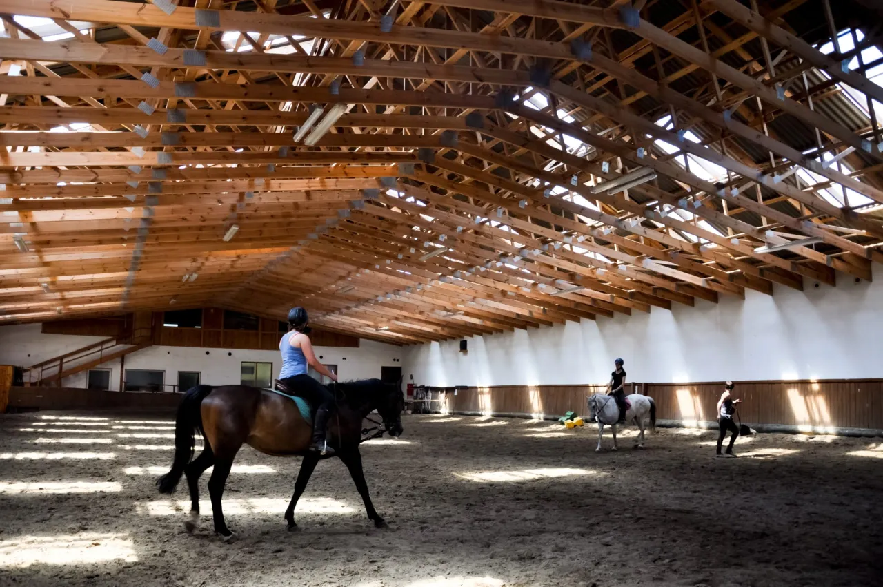 dobrostan koni w stajni