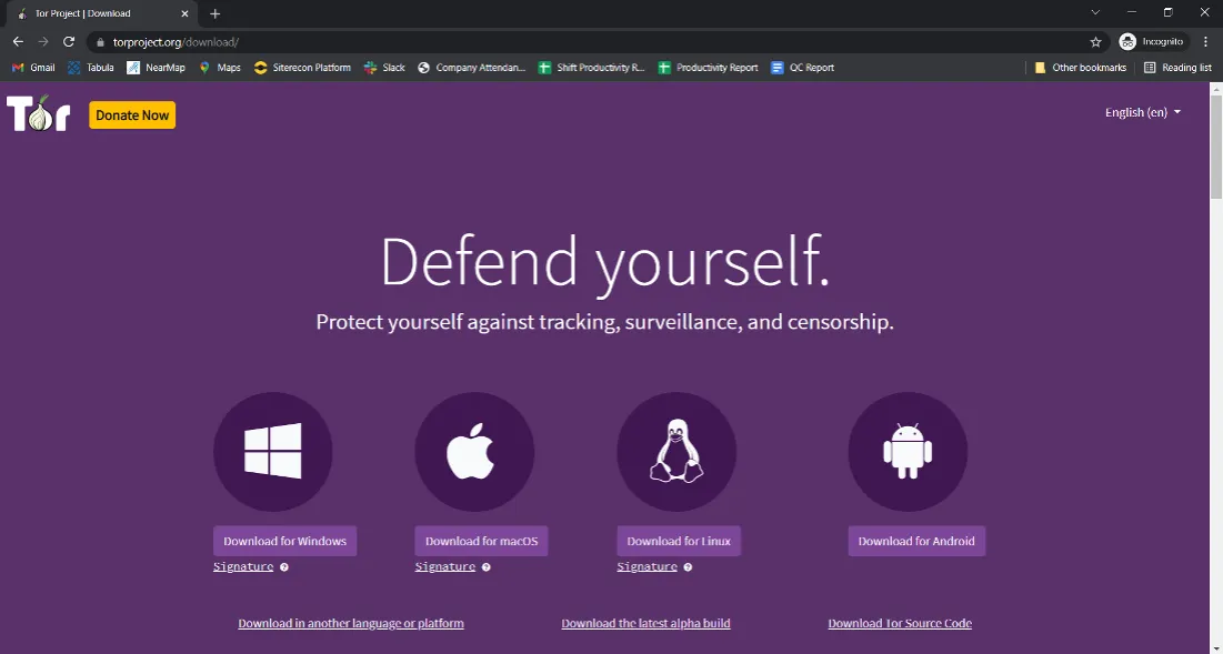 Tor Browser Download Installation