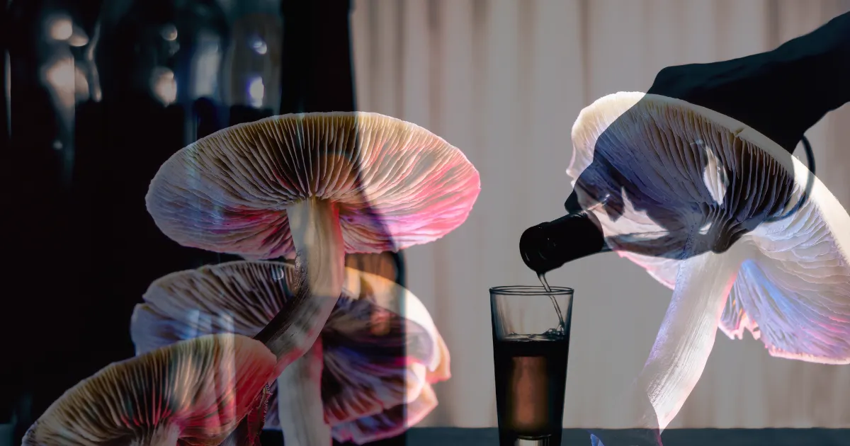 Psylocybina terapia alkoholizm