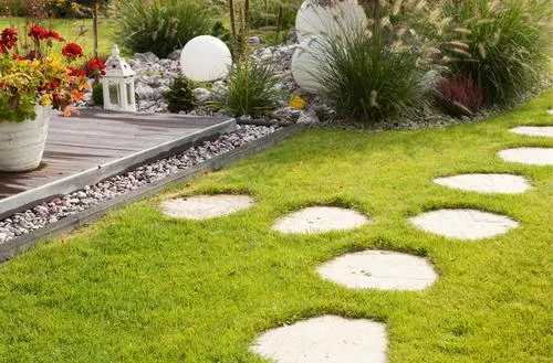 Inspirująca ścieżka do domu z roślinami