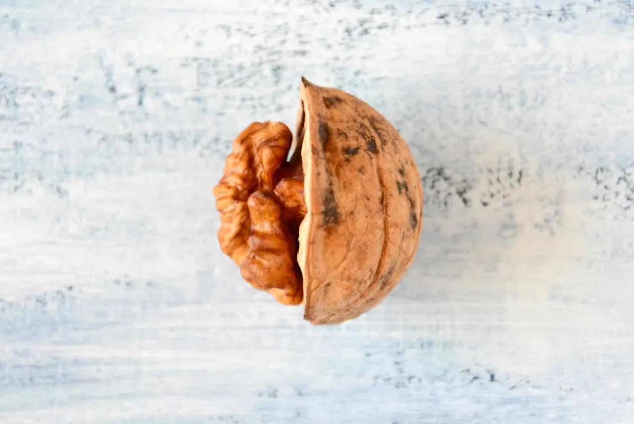 Połówka orzecha włoskiego z widocznym miąższem. Czy orzechy włoskie można mrozić? Tak, mrożenie to dobry sposób na ich przechowywanie.