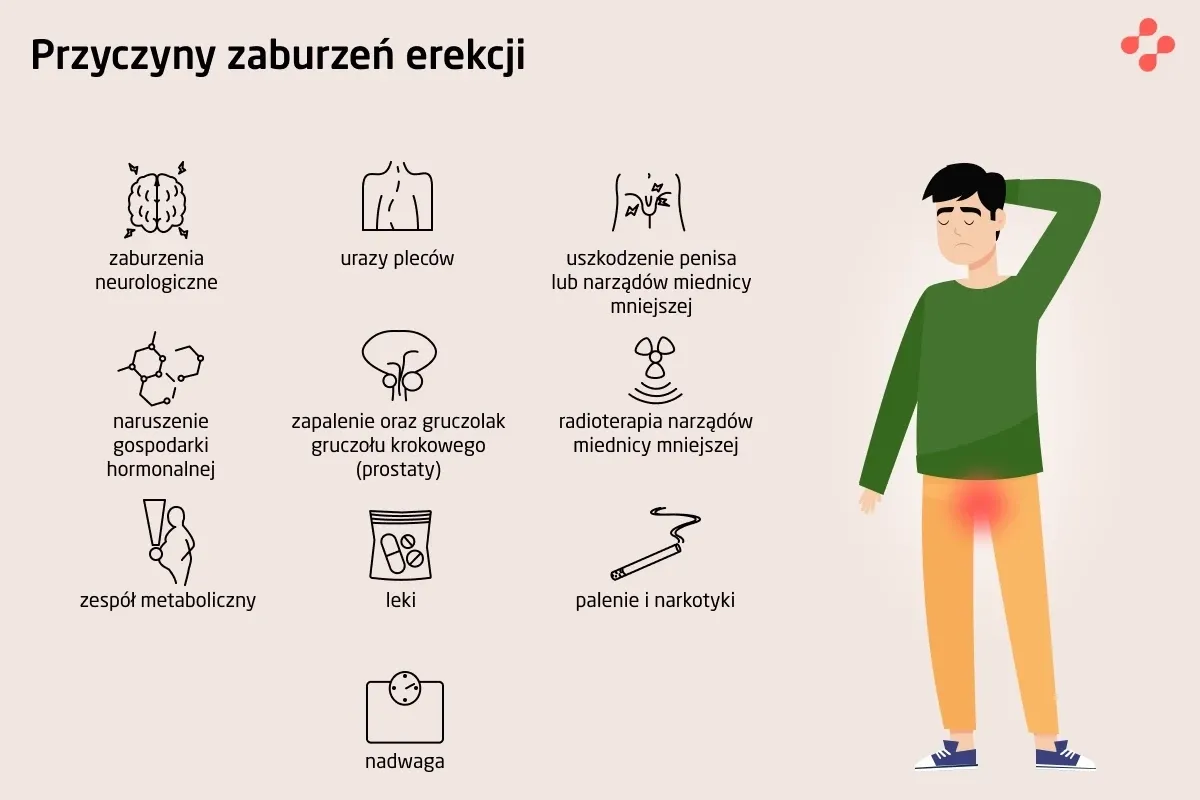 Przyczyny zaburzeń erekcji infografika