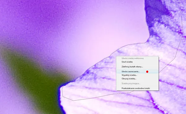 konwersja zaznaczenia na ścieżkę photoshop