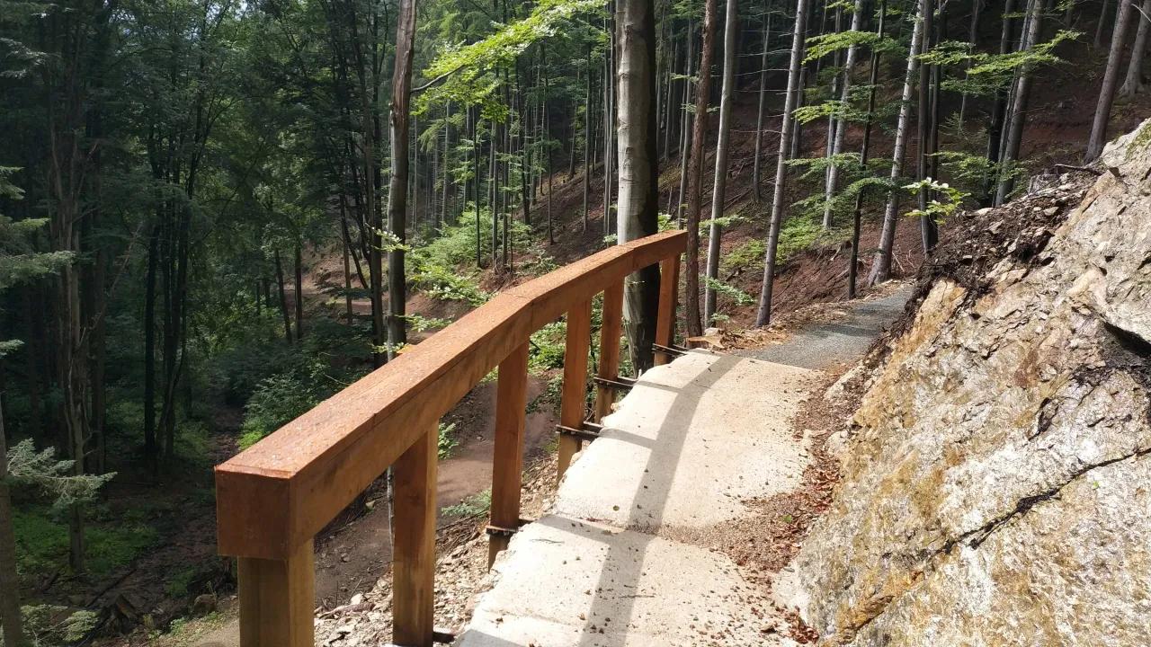 Międzygórze trasy rowerowe dla rodzin