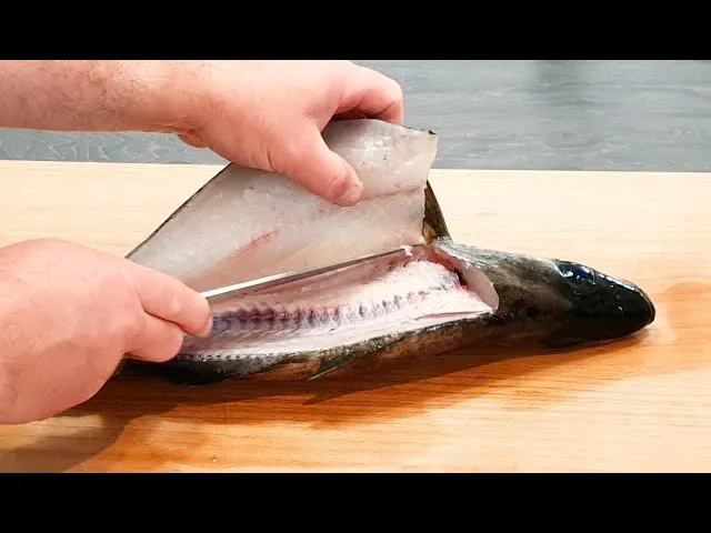 jak filetować ryby norweskie