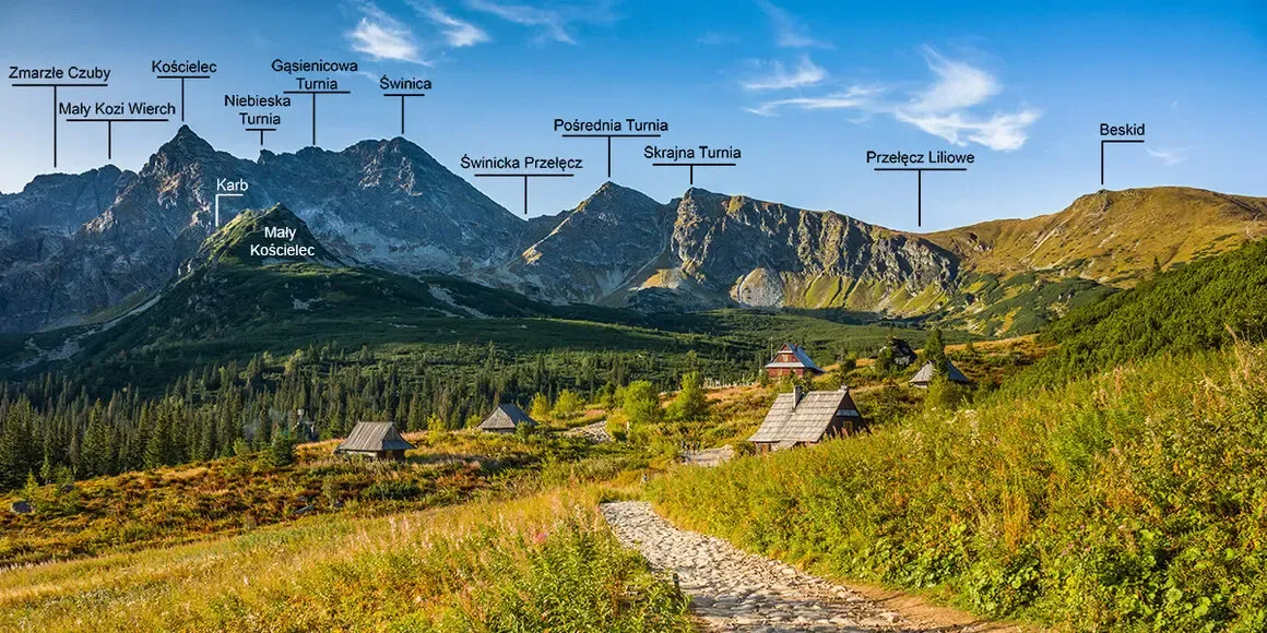 Panorama Tatr z Zakopanego