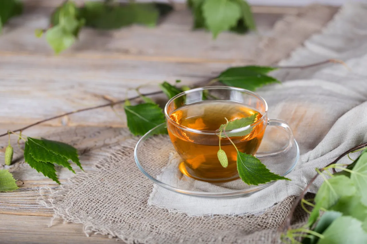 Napar z liści brzozy w szklance