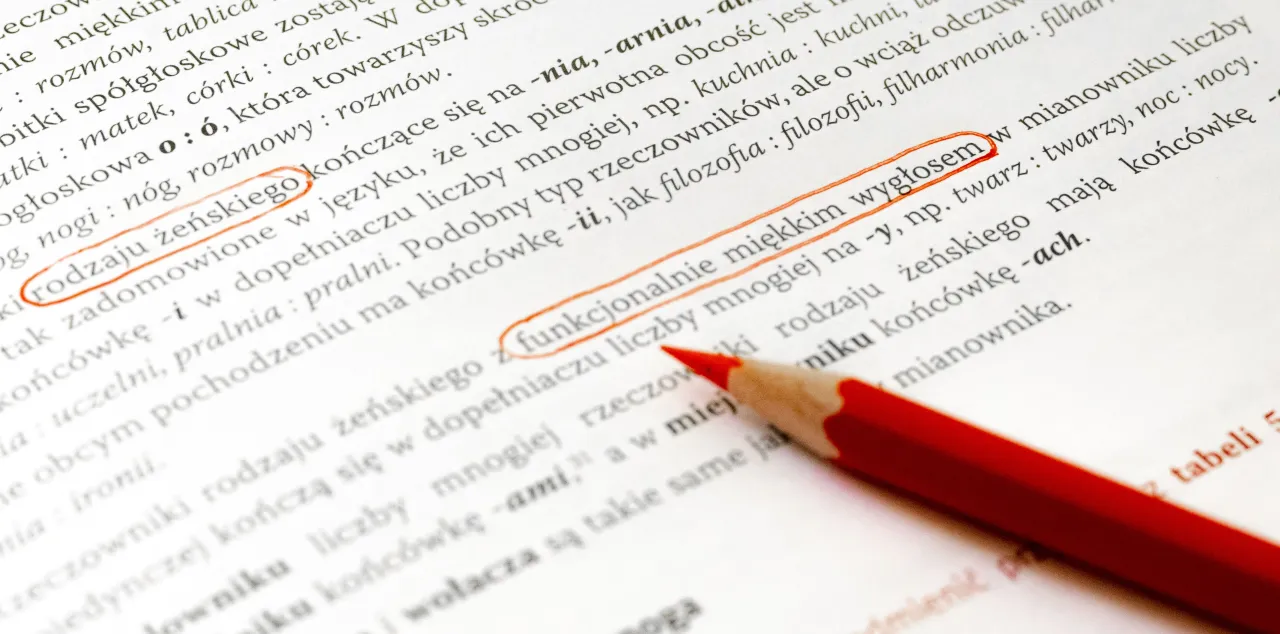 zasady gramatyki języka polskiego wyjątki