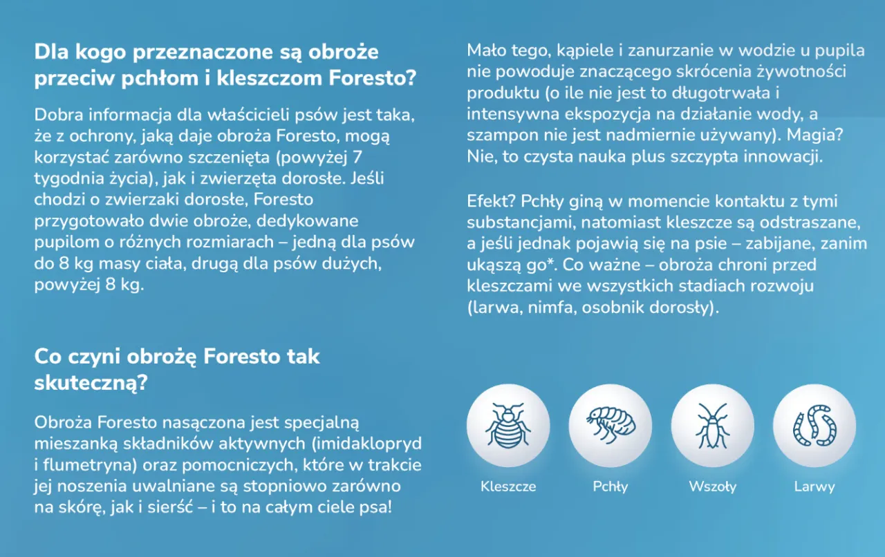 obroża Foresto na psie