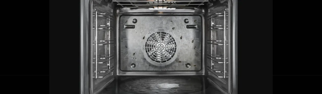 piekarnik z pyrolizą katalizą hydrolizą różnice