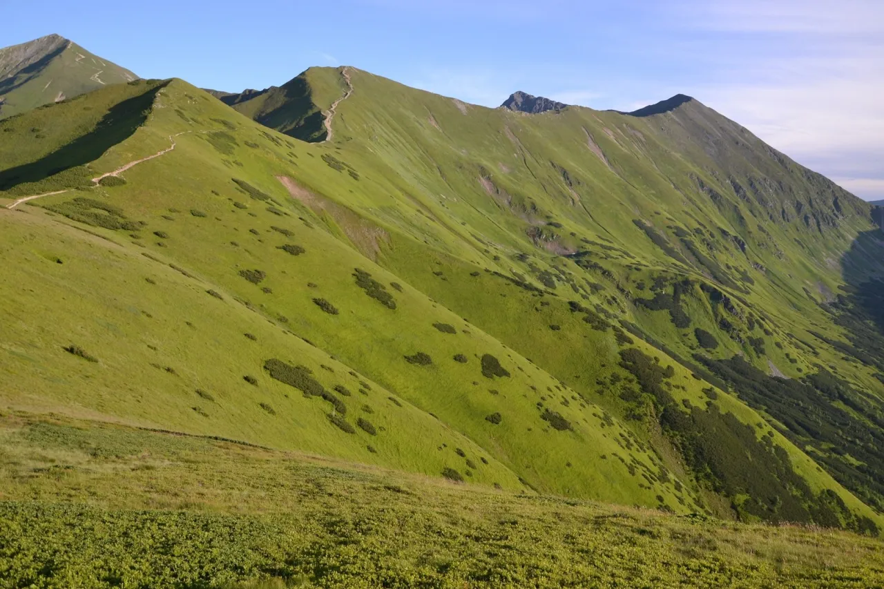 pętla Jarząbczy Wierch Wołowiec