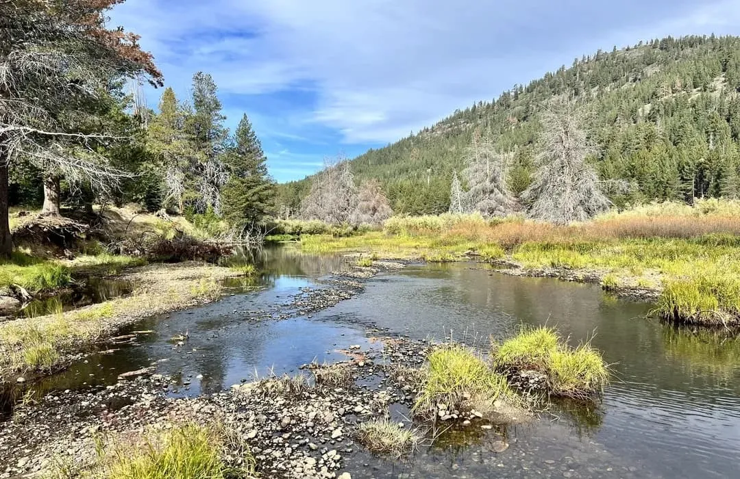 Zdjęcie Zaskakujące odpowiedzi na hasło land jak rzeka w krzyżówkach