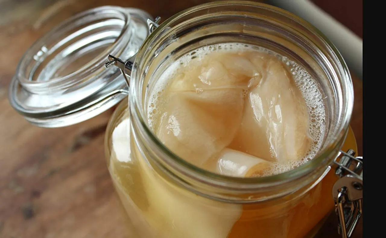 zdrowy grzybek kombucha SCOBY