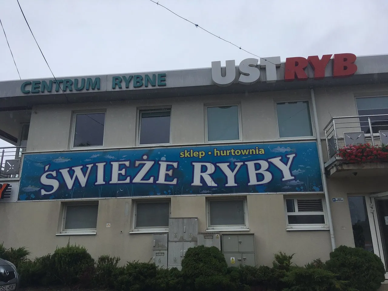Gofry Ustka, lody rzemieślnicze Ustka