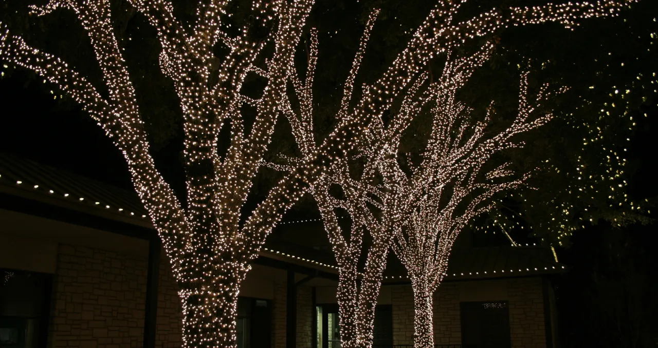 Drzewa ozdobione tysiącami światełek tworzą magiczny widok, idealny na to, jak udekorować ogr&oacute;d na święta bożego narodzenia.