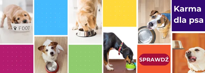 przechowywanie domowej karmy dla psa w pojemnikach