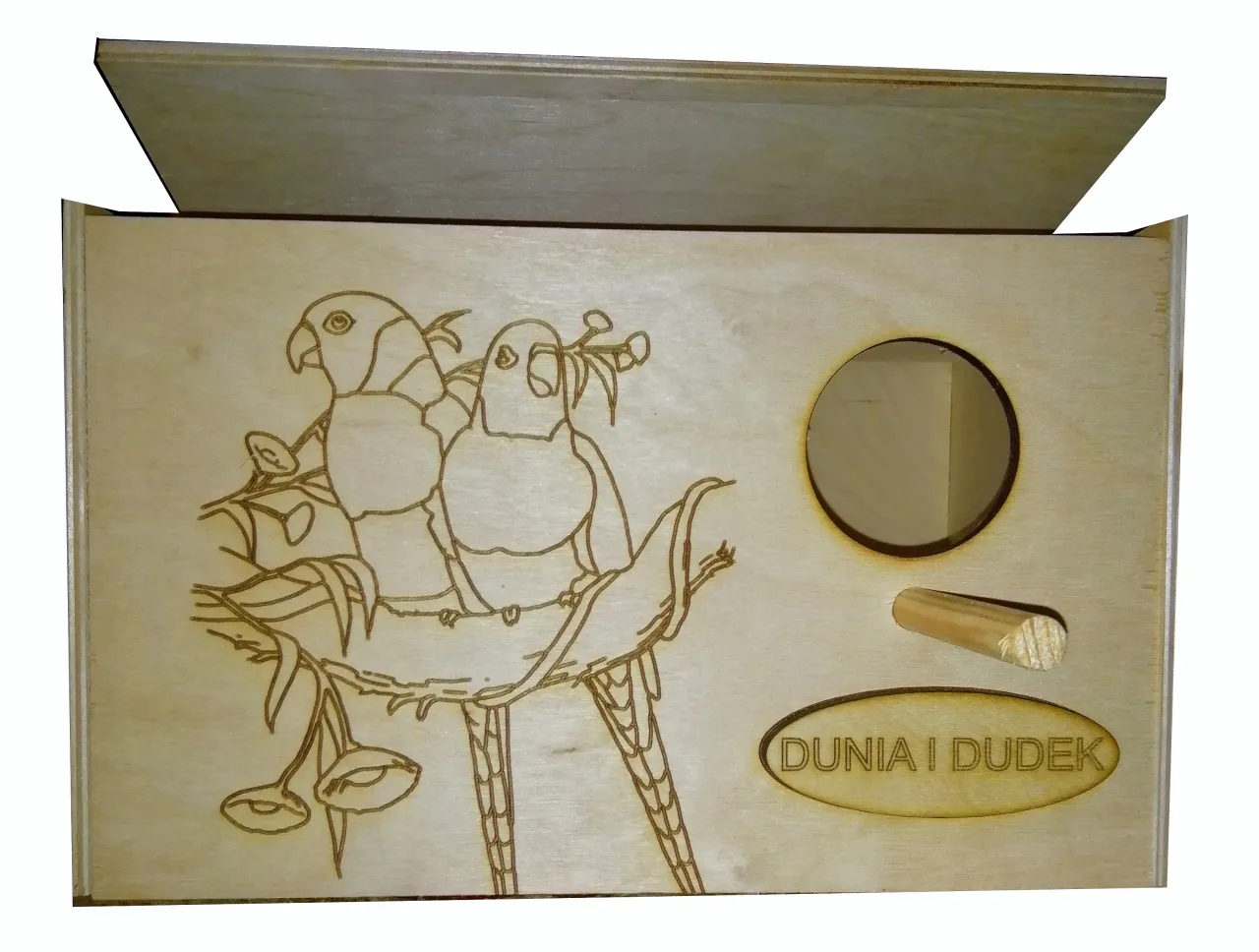 Idealna budka lęgowa dla nimfy wymiary schemat