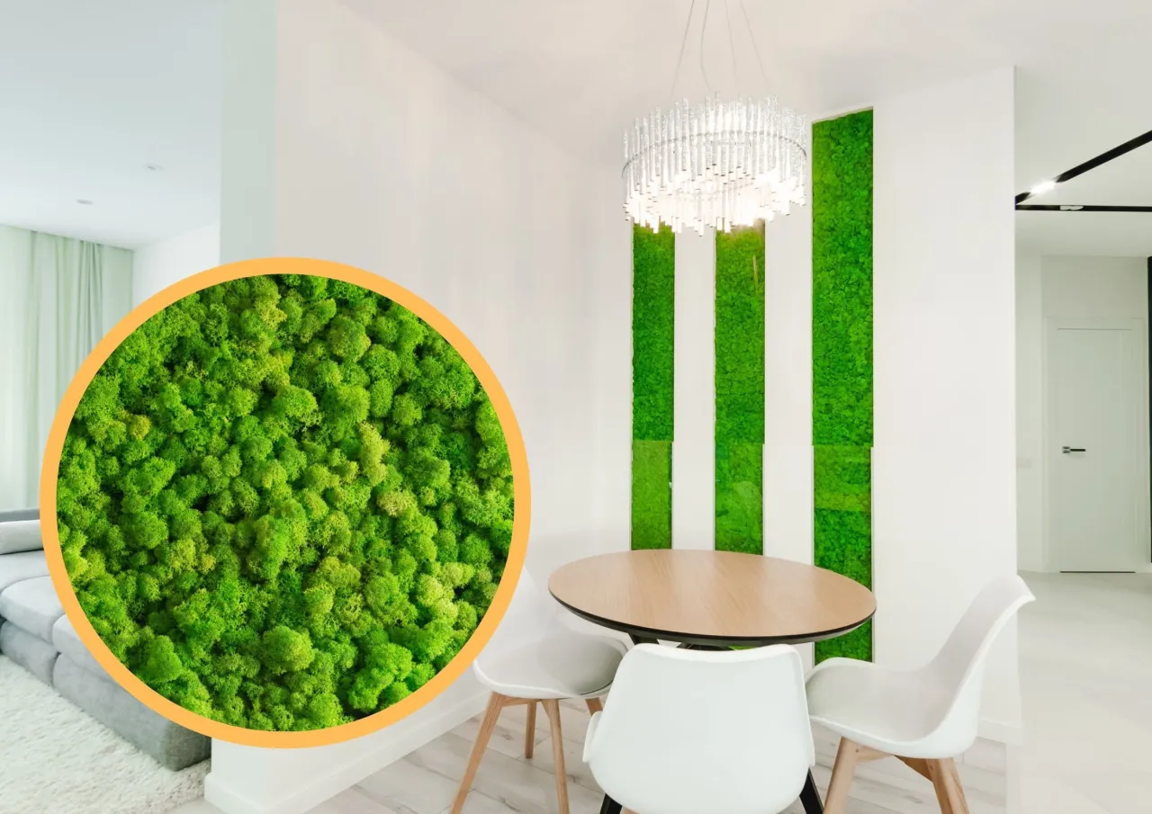 zielona ściana z mchu chrobotka, piękne wnętrze