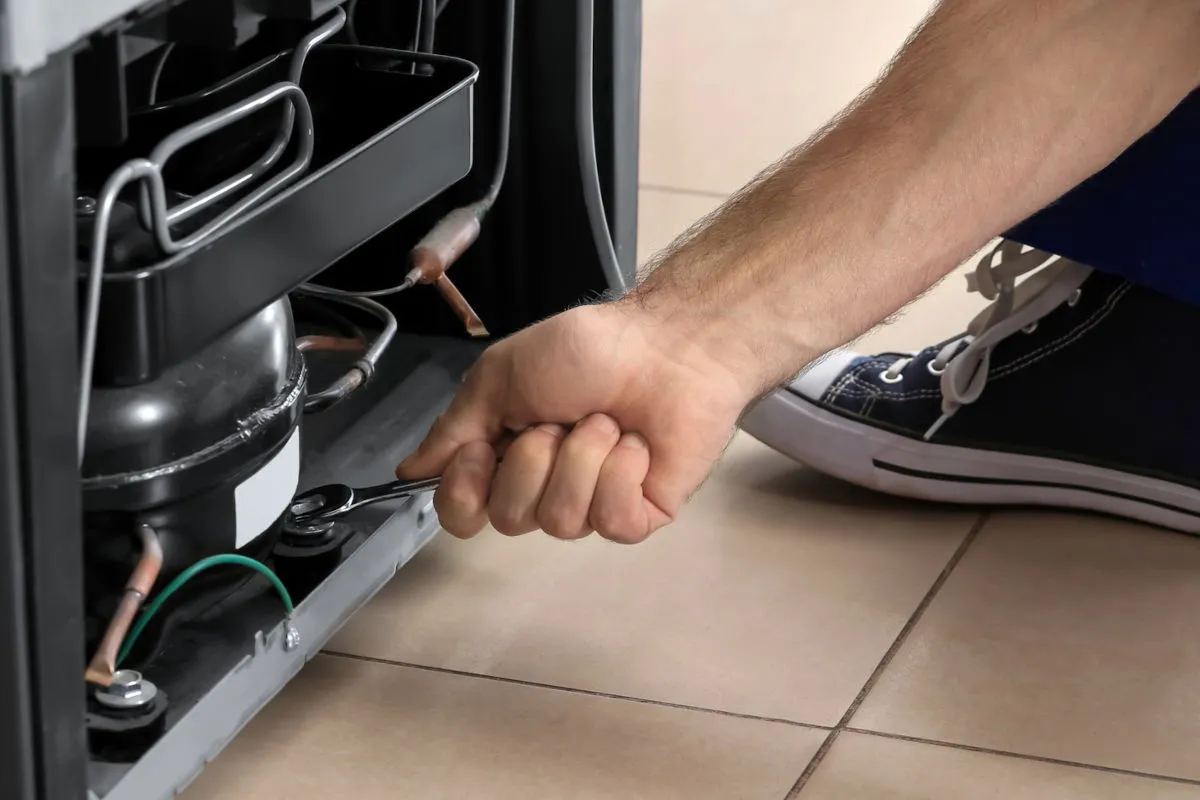 przekr&oacute;j lod&oacute;wki budowa materiały