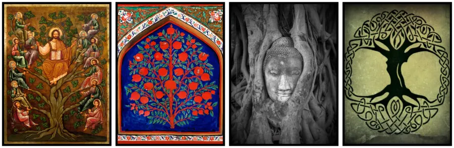 Drzewo Życia w r&oacute;żnych kulturach