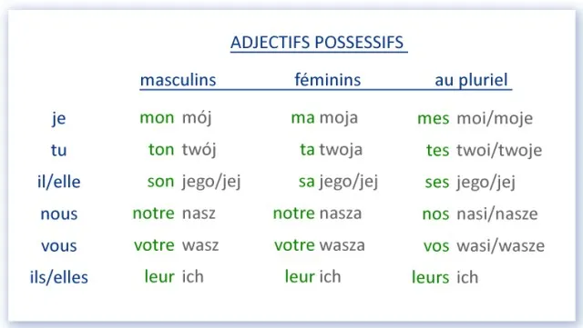 Najczęstsze błędy francuskie przymiotniki dzierżawcze