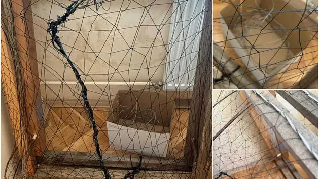 Zgłaszanie kłusownictwa służby