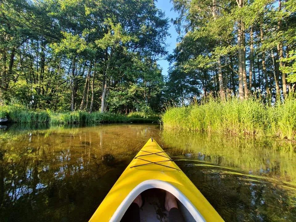 Rezerwat przyrody Piaśnickie Łąki kajaki