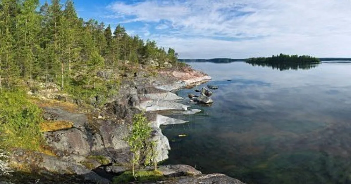 Nerpa ładodzka jezioro Ładoga